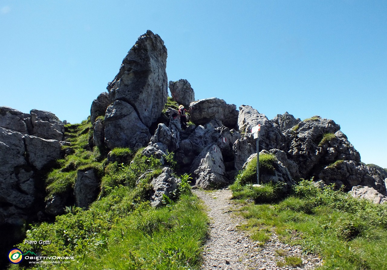 28 Al Passo la Forca  (1848 m) prendiamo il sentiero 502 per Monte Alben.JPG